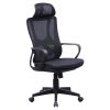 Ghế Lưới Giám Đốc GL358